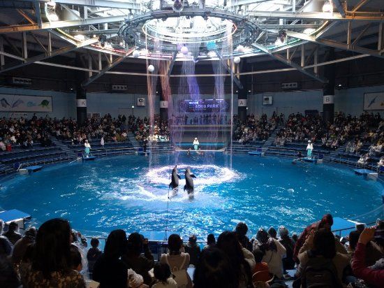 Maxell Aqua Park Shinagawa